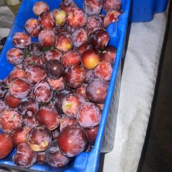 Plums