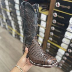 Men’s Caiman Belly