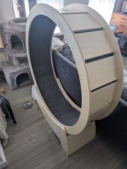 Cat Wheel