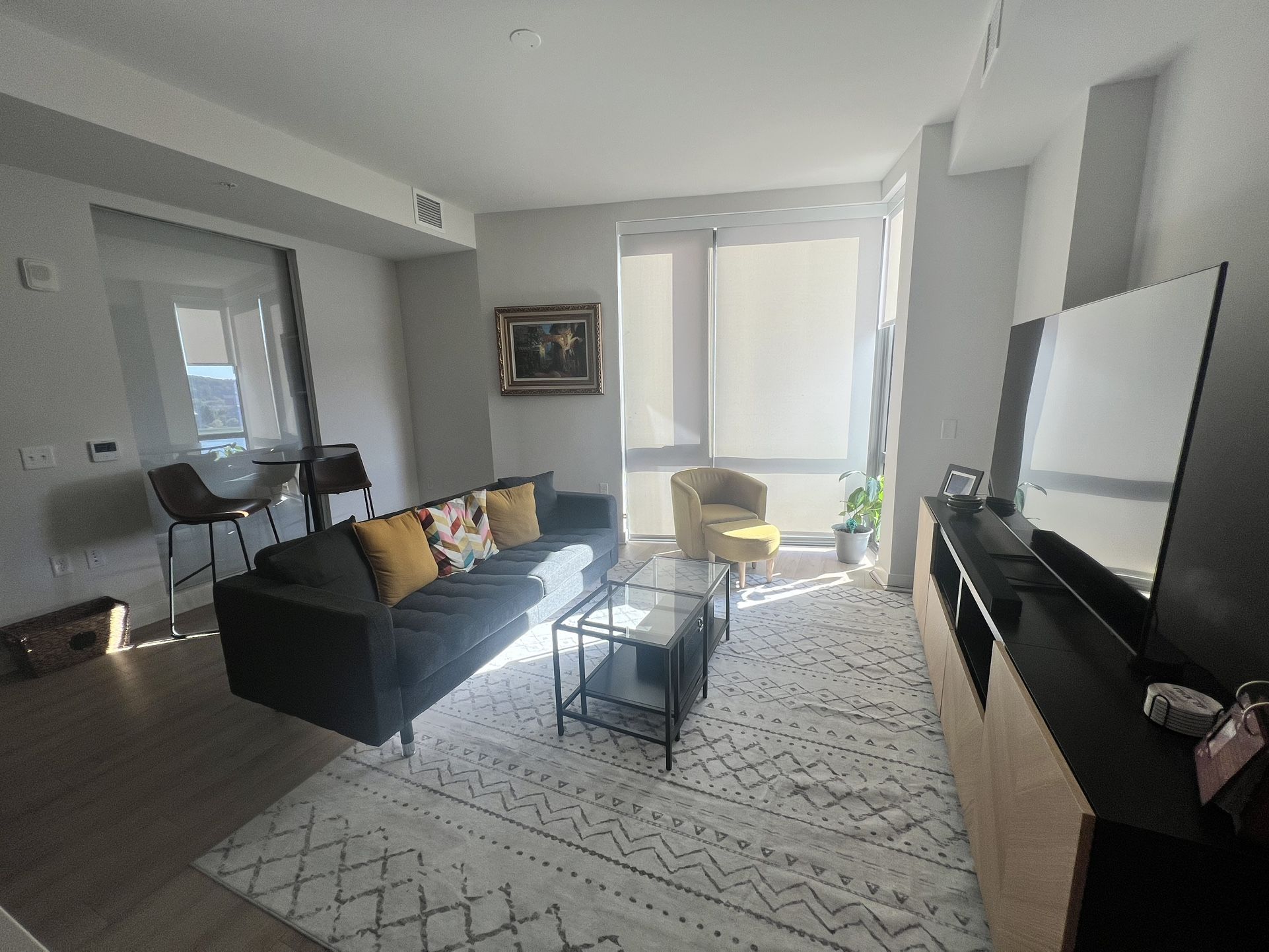 Living room Set - Price Negotiable