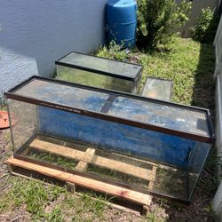 Fish Tanks 