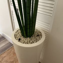 Pretty Artificial Plant  5 FT Tall ( Snake Tree) With White Tall Planter! New