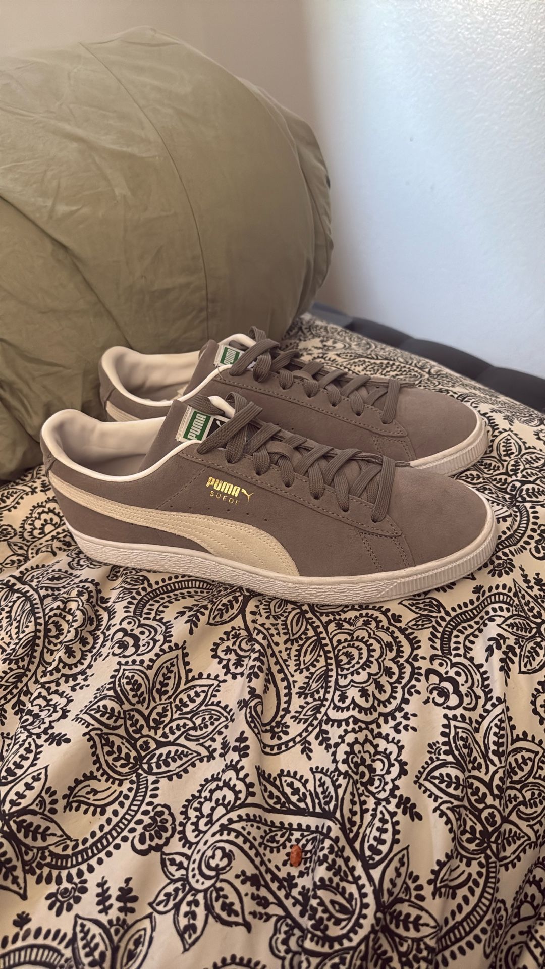 Grey Pumas