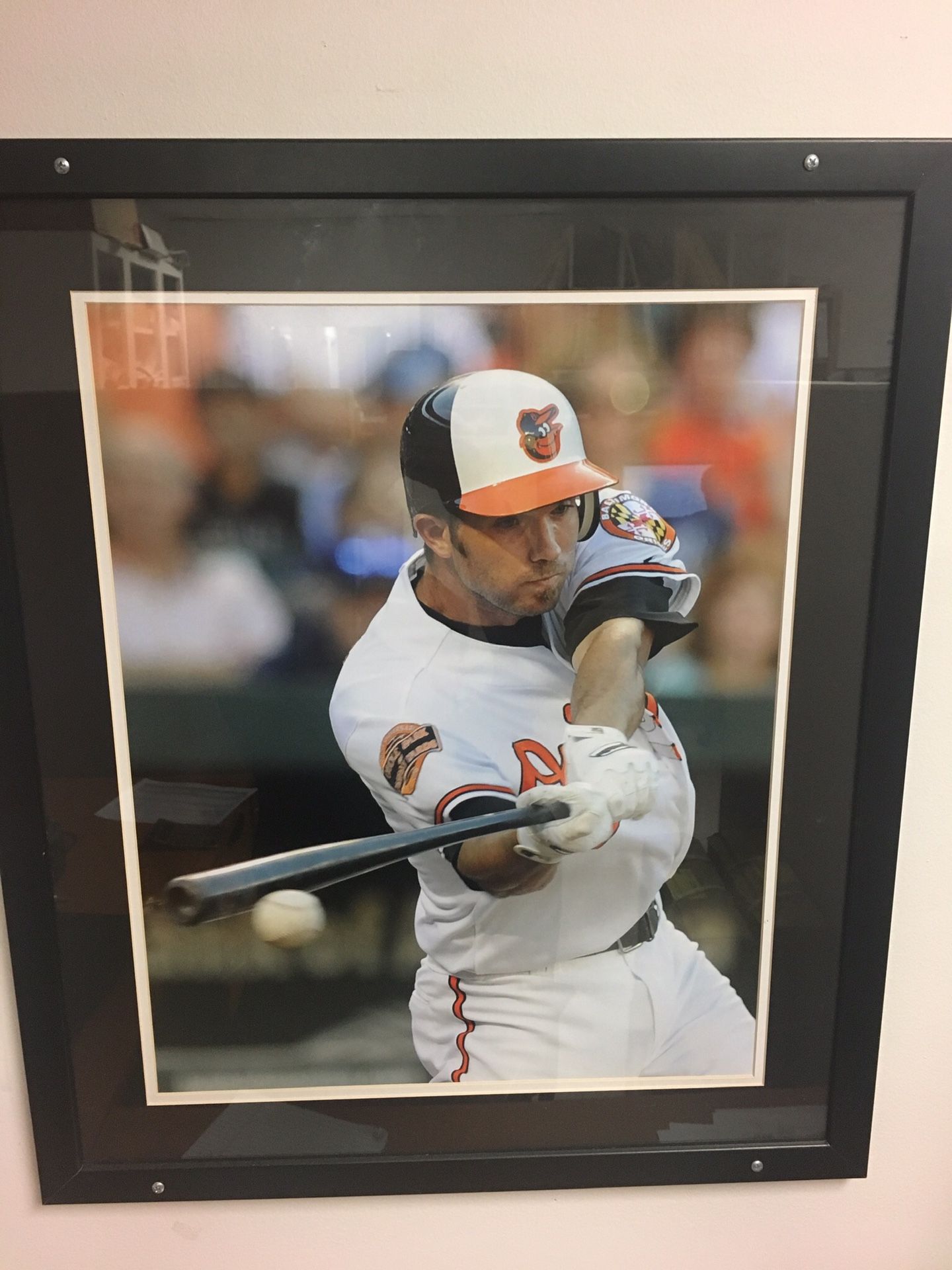 Framed orioles print photo