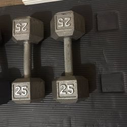 25 Pound Dumbbells 