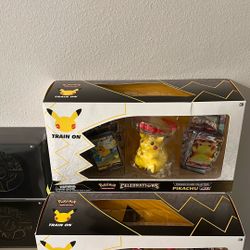 25th Anniversary Pika Premium Figure Collection 