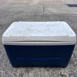 Igloo Cooler