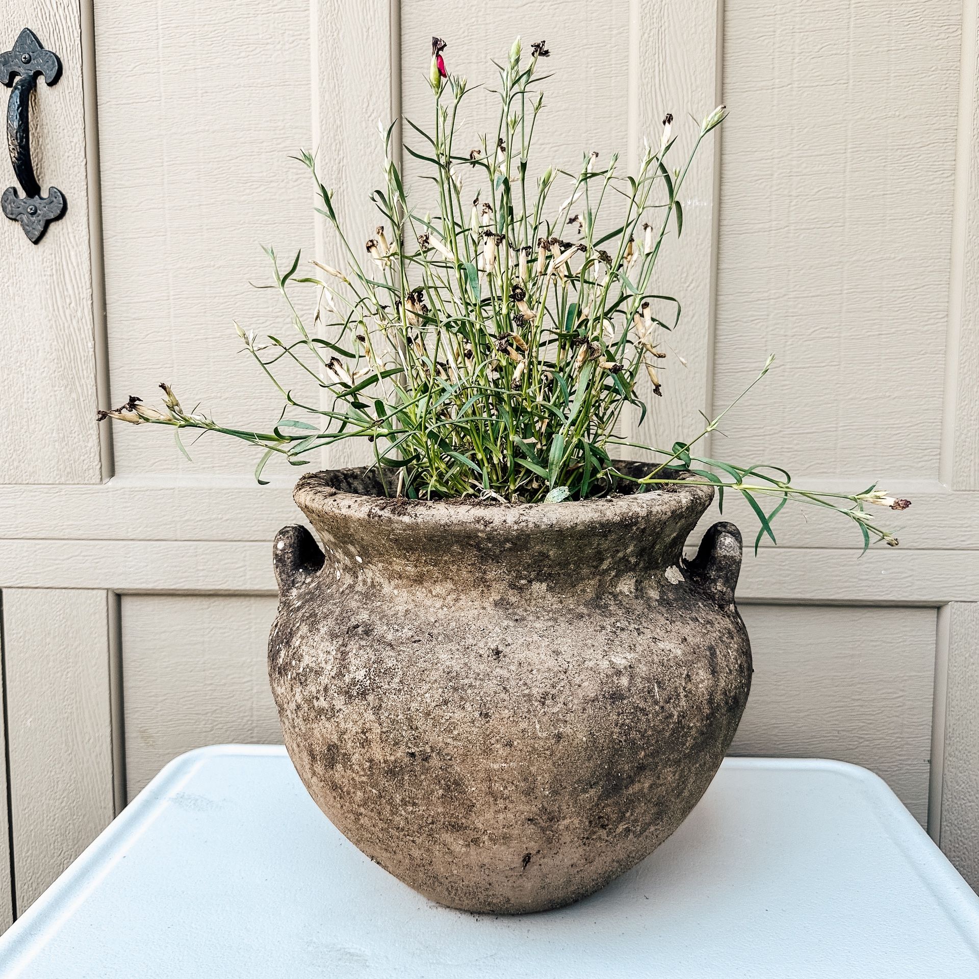 Vintage Flower Pot Planter French Country Cottage Primitive Decor Incl Plant