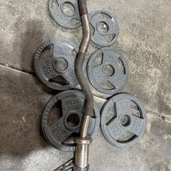 Olympic Curl Bar Weights