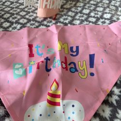 Birthday Hat And Bandana 