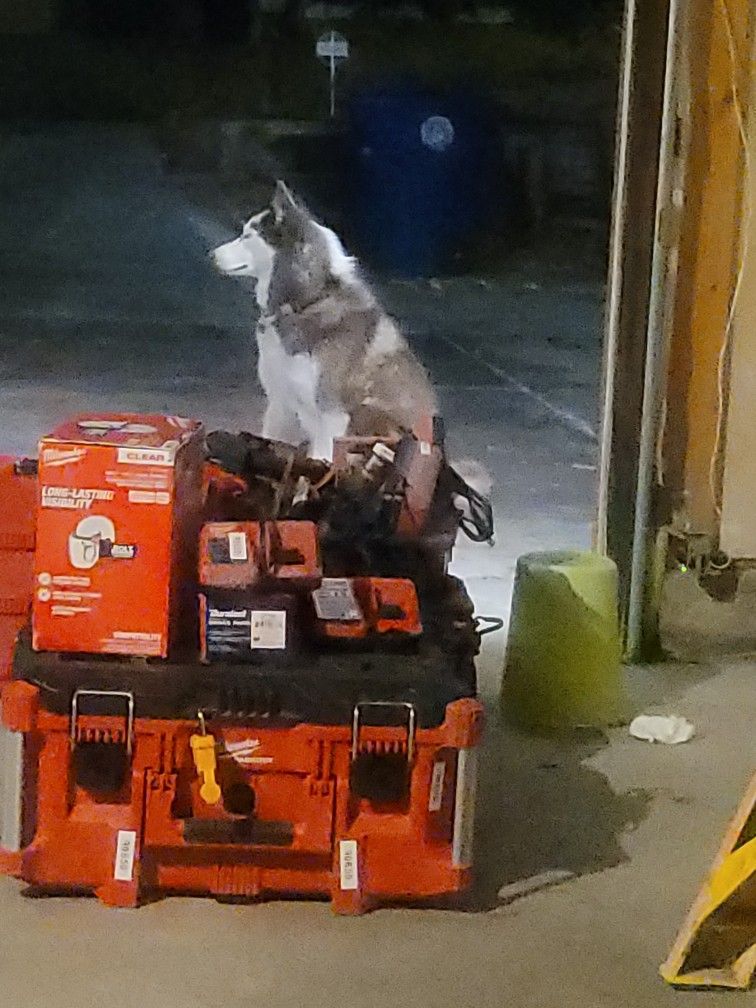 Milwaukee Tools M12/m18