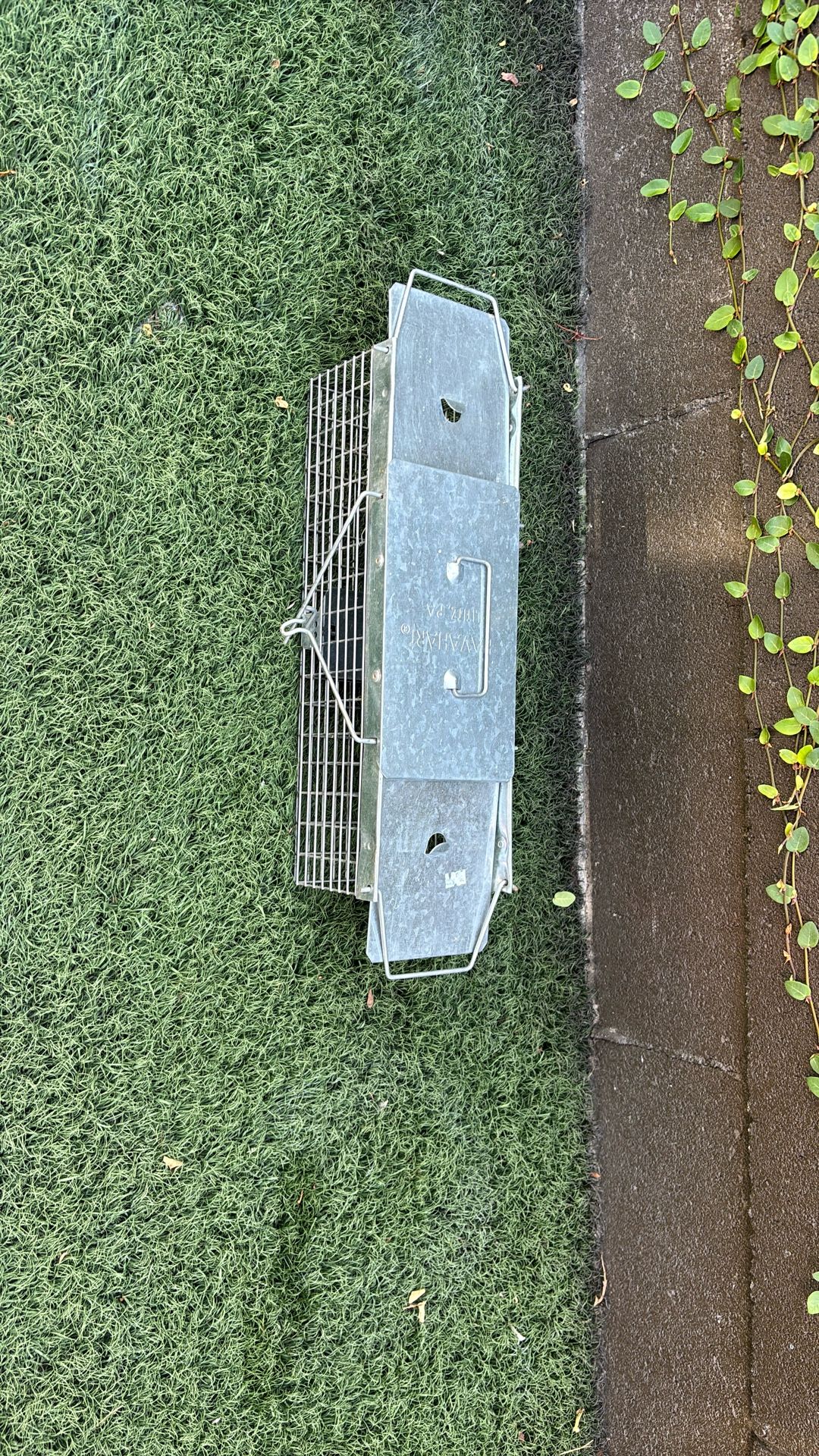 Live Animal Trap-Squirrel,  Rat