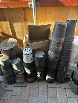 Nursery pots for sale or trade