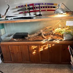 6ft x 18in x 23.5in Glass Fish Tank + Lid And Stand. 130 Gallons