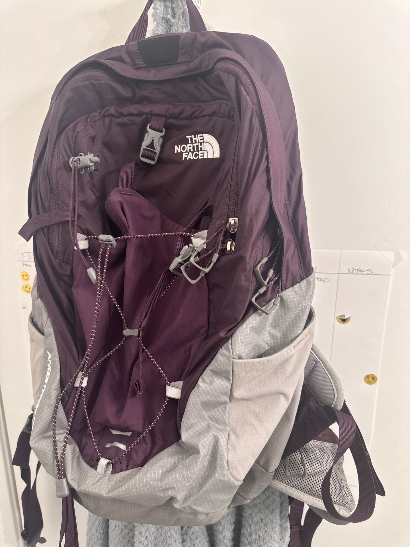 North face Brand New Hiking Backpack (angstrom 28)