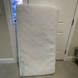 Newton Mattress & Extras 