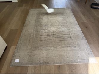 Rug & Co 5x7 Area Rug – Beige/Crea