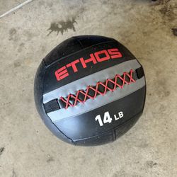 Ethos 14 Pound Wall Ball