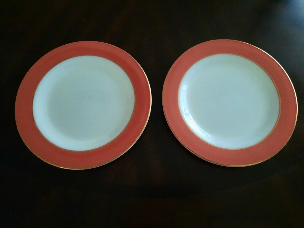 Vintage Pyrex Dinner Plates (2)