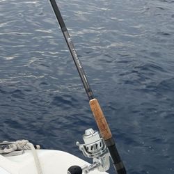 Teramar rod (shamino)