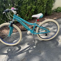 24” Raven Kids Bicycle