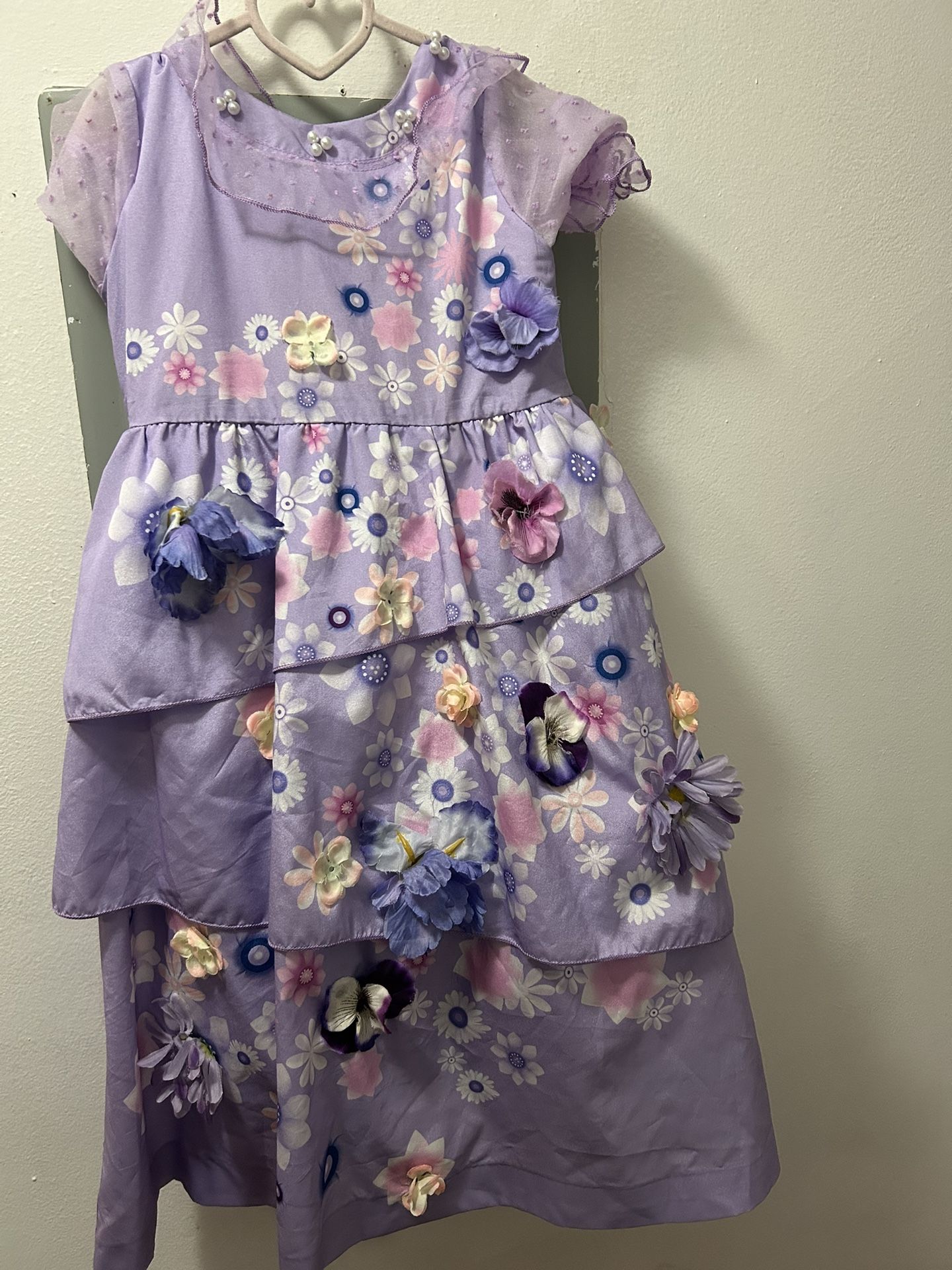 Girl Dress Size 8 Encanto Esabella  Disney Costume