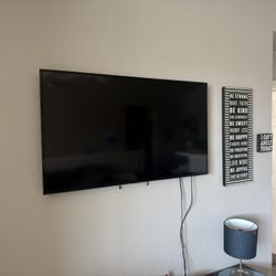 Mounted Television