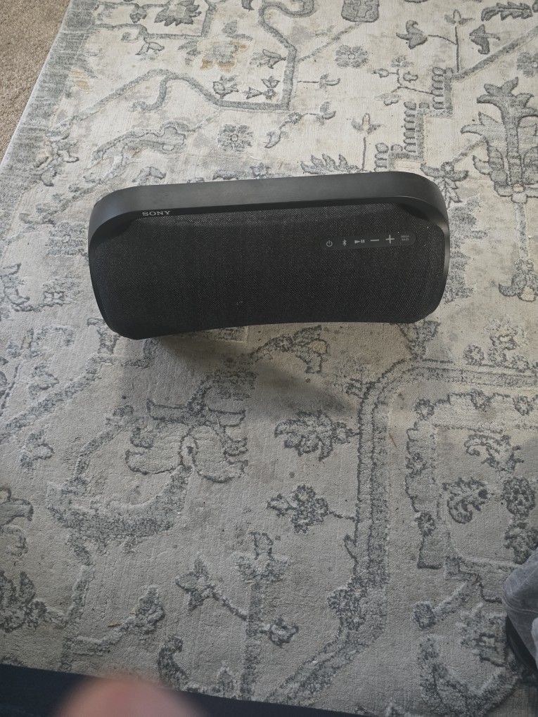 SONY SRS-XG500