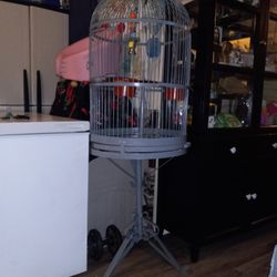 Bird Cage