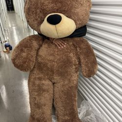 HUGE teddy Bear ! 