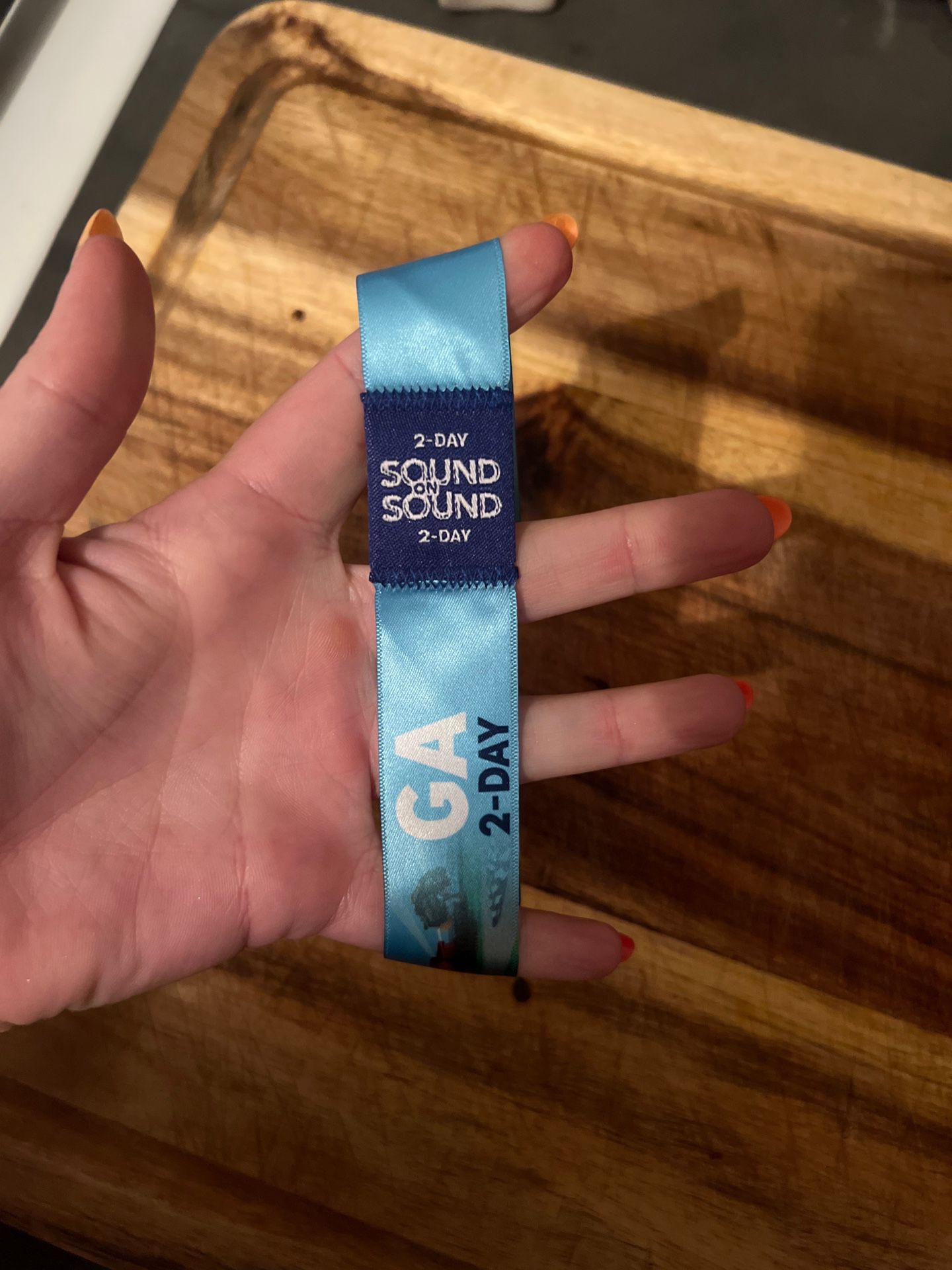 Sound On Sound 2 Day GA Ticket