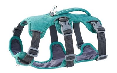 Xxs dog harness teal green