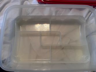 Rachel Ray food carrier