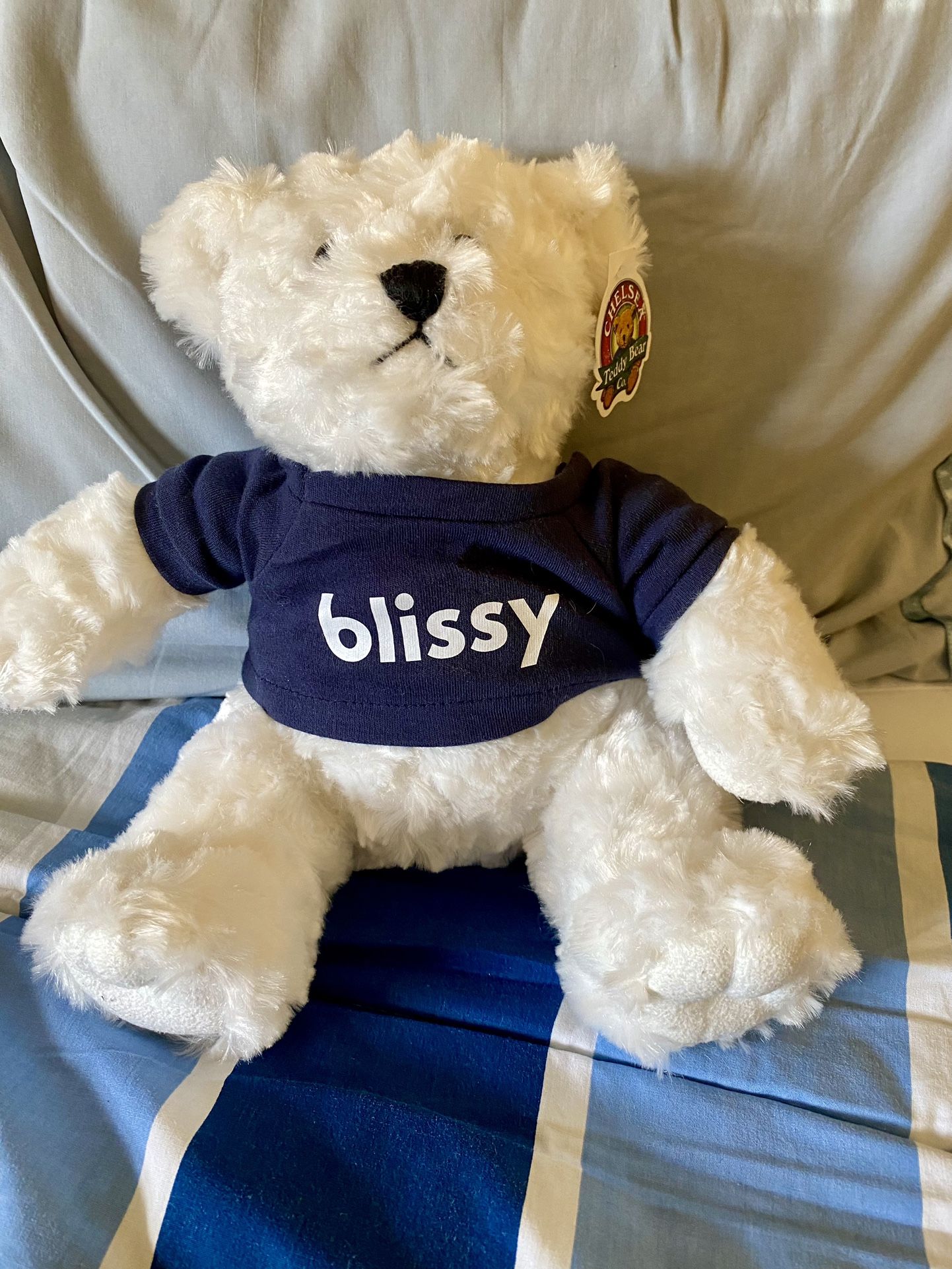 Chelsea “Blissy” Teddy Bear