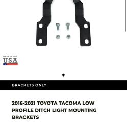 Tacoma Ditch Light Hood Mounts 