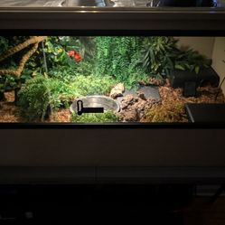 BRAND NEW IN BOX - New Age Pet ECOFLEX Reptile Enclosure (4x2x2 / 120 Gal) - MAPLE