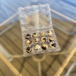 Fresh Quail Eggs