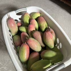 Valencia Pride Mangoes 