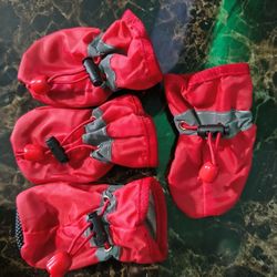 Dog Winter Boots For Small To Medium Dog