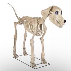 7 FOOT Skeleton Dog Skelly's Home Accent Halloween 2024 Home Depot