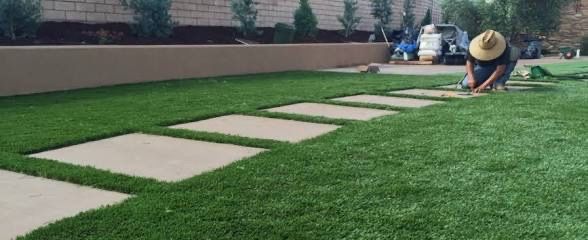 Turf