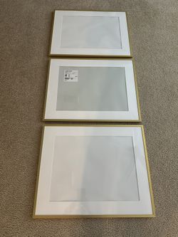3 Large Removable Matted Gold Frame 20.5” L X 16.5 W