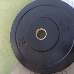 Bumper Weight Plates 