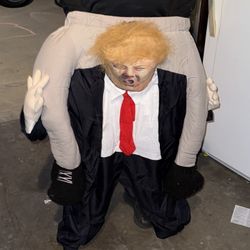 Ride On Costume 