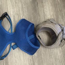 Dog Harness And Leash 