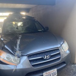 2009 Hyundai Santa FE