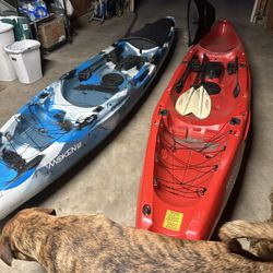 2 Kayaks 