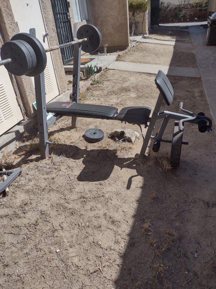 Complete Weight Bench With Weights And Curl Bar 