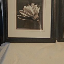 wall picture