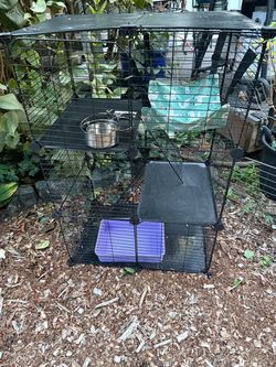 Catio